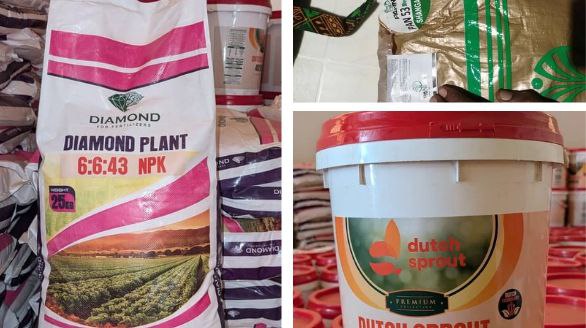 photo 2025 10 26 11 12 24