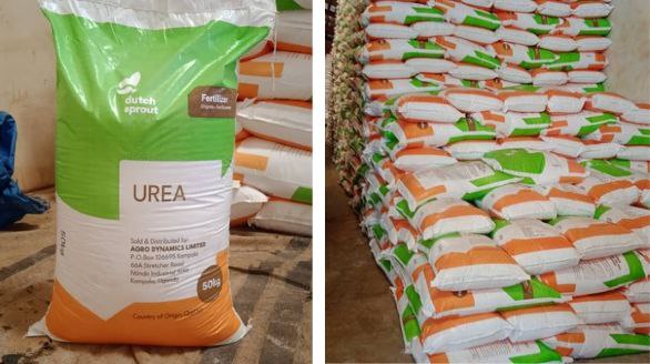 photo 2025 10 26 11 29 56