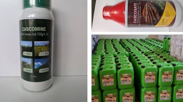 photo 2025 10 26 11 33 21